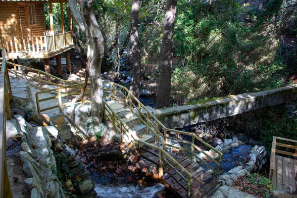 Wooden stairs in the forest, landscape as a background. Wooden stairs to the waterfall in the forest.