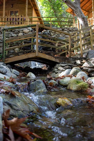 森の中の小さなストリーム上の木製の橋 秋には岩や葉で庭の滝 田舎の家の庭の小川にかかる木製の橋 — ストック写真