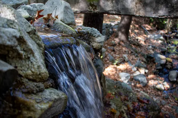 岩の上に落ちた葉を持つ秋の森の滝 森の中の小さな滝 山の風景 — ストック写真