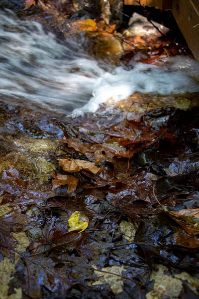 Sonbahar Ormanındaki Kayalıklarda Düşen Yapraklarla Şelale Ormanda Küçük Bir Şelale — Stok fotoğraf
