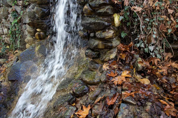 Cachoeira Floresta Outono Com Folhas Caídas Nas Rochas Pequena Cachoeira — Fotografia de Stock