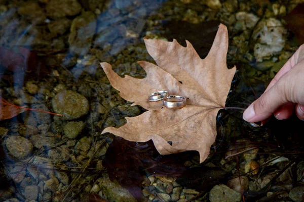 水の中の紅葉の葉の上に結婚指輪 湖の紅葉の結婚指輪 — ストック写真