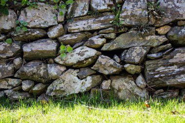 Taş duvarın doğal dokusu. Yeşil çimenli taş duvar, arka planda taş duvar dokusu. Yeşil çimenli taş duvar arka planı.. 