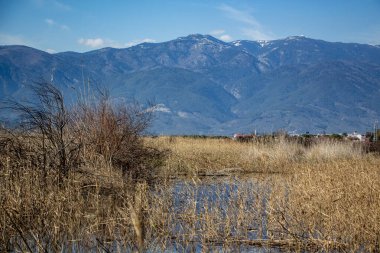 Dağlar ve kuru çimlerin arkasındaki mavi gökyüzü. Dağlarda bahar, çimenler kurudu, son kar, ılık bahar günü, masaüstü duvar kağıtları.