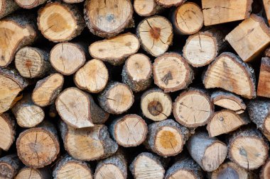 Kış için hazır odun yığınları, kesilen odunların arka planlarını kapatın. ahşap doku.