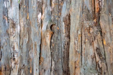 Arkaplan olarak odunlardan yapılmış tahta duvar. Eski ahşap duvarın dokusu. Yaşlı bir ağacın kabuğunun dokusu. Soyut arkaplan. Eski ağaç kabuğu dokusu arkaplanı.