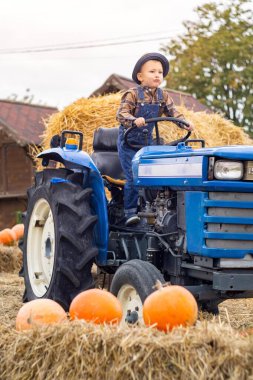 Traktör kullanan şapkalı genç bir çocuk, traktör kullanan küçük bir çiftlik çocuğu, çiftlikte yardım eden klasik şapkalı küçük bir çocuk, iki eli direksiyonda mavi bir traktör kullanıyor. Yüksek