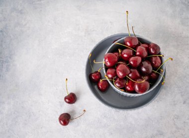 Arka planda gri bir kasede taze kirazlar. Üst görünüm ve kopyalama alanı.