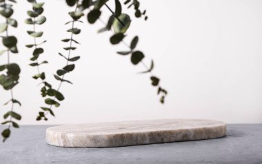 Okaliptüs yapraklı gri mermer bir podyum. Ürün sunumu, tasarım, kozmetik ürün, podyum, sahne, kaide veya platformun tanıtımı için sahne. Model