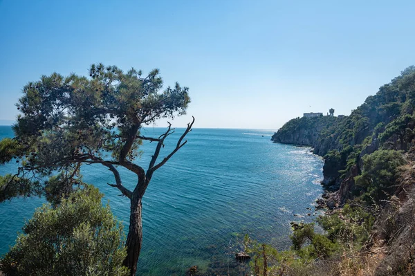 黒海の美しいパノラマビューと晴れた夏の日に木や松と岩の海岸 トルコ プリンス諸島 — ストック写真