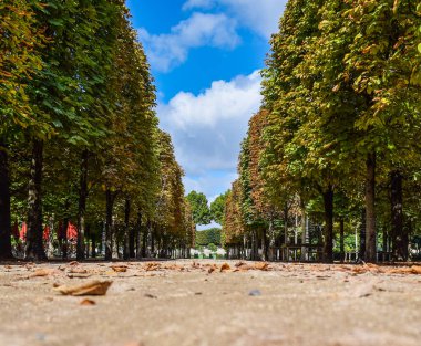 Güneşli bir yaz gününde yerden Tuileries bahçelerine güzel bir panoramik manzara. Paris, Fransa.