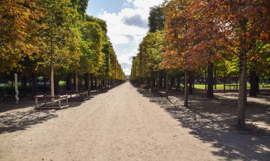 Güneşli bir yaz gününde Tuileries bahçelerinde güzel bir panoramik manzara. Paris, Fransa.