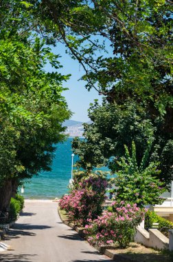 Adalar Adaları 'ndaki güzel çiçek açan bahçeleri ve Marmara Denizi manzaralı bir yol. İstanbul, Türkiye.