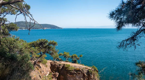 Чудовий Панорамний Вид Чорне Море Скелі Соснові Дерева Сонячний Літній — стокове фото