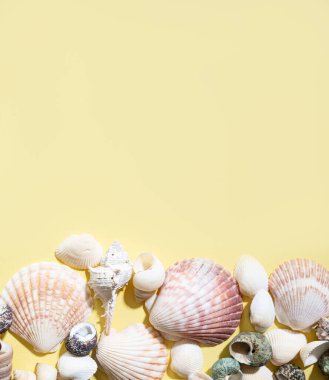 Parlak sarı arka planda deniz kabukları. Yaz tatili kavramı. Üst görünüm ve kopyalama alanı.