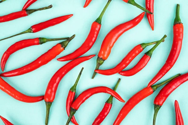 stock image A pattern of red hot chili peppers on a blue background close-up. Top view.