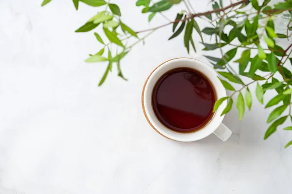 Açık Mermer Arka Planda Yeşil Dalları Olan Bir Fincan Çay — Stok fotoğraf