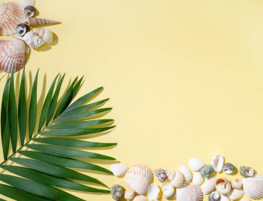 Parlak sarı arka planda deniz kabukları ve palmiye yaprağı. Yaz tatili kavramı. Üst görünüm ve kopyalama alanı.