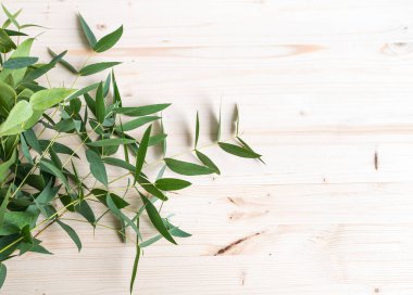 Hafif ahşap zemin üzerinde taze okaliptüs dalları. Üst görünüm ve kopyalama alanı.