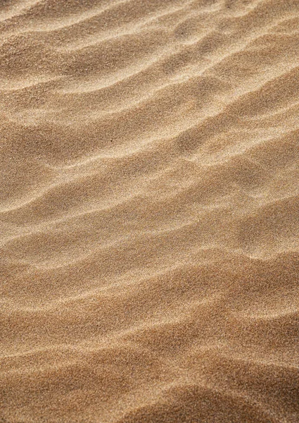 stock image Background with beach sand wave close-up. Sand dunes on a sunny summer day. Free space for text.