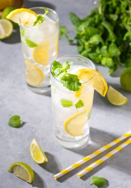 Taze limonla mojito içilir. Limon, limon, nane ve buzlu gri arka planda taze bir kokteyl. Yaz soğuk içecekler konsepti.