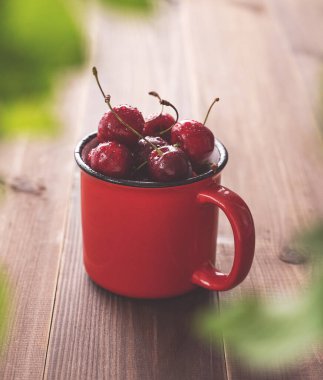Koyu ahşap arka planda kırmızı bardakta sulu kirazlar güneşli bir yaz sabahında yapraklarla kaplıdır. Kırsal stil kavramı. Resim renklendir.
