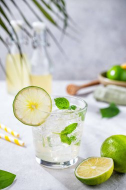 Limonlu, naneli ve buzlu taze soğuk mojito. Gri arka planda limon ve palmiye yapraklı turunçgil içeceği. Ön görünüm.
