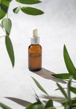 Işık arka planında gölgeli bir şişede yüz ve vücut serumu. Okaliptüslü gül suyu kozmetiği konsepti. Sağlık ve güzellik. Boşluğu kopyala.