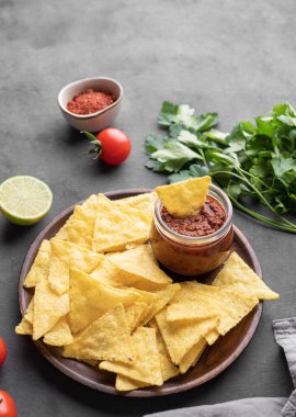 Baharatlı domates soslu nachos veya tortilla ile taze sebzeler ve koyu bir arka planda otlar. Salsa soslu mısır cipsi. Klasik Meksika yemeği. Metin için boş alan.