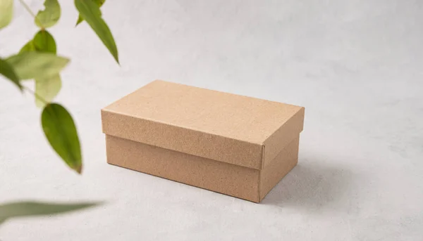 Caja Artesanal Sobre Fondo Gris Texturizado Con Planta Ramificada Concepto —  Fotos de Stock