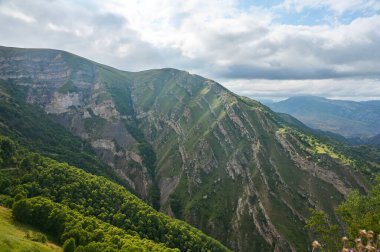 Nane yaprağıyla sulu orman ahududu ve beyaz izole bir arka plan. Sağlıklı gıda konsepti. Üst görünüm