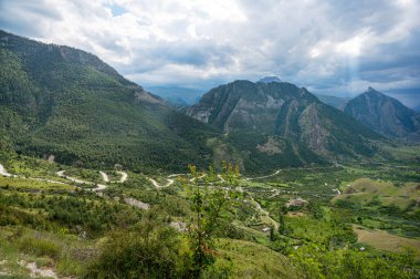 Nane yaprağıyla sulu orman ahududu ve beyaz izole bir arka plan. Sağlıklı gıda konsepti. Üst görünüm