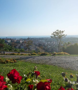 Güneşli bir sisli yaz gününde İstanbul 'a giden patika ve çiçeklerle şehir parkından panoramik manzara. Türkiye.