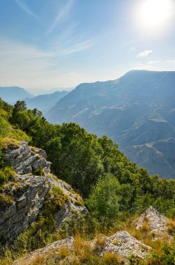 Güneşli bir yaz gününde dağlarda kayalar, kır çiçekleri, ağaçlar ve mavi gökyüzü. Dağıstan, Rusya.