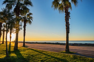 Batum seti gün batımında. Günbatımı Karadeniz 'de batan güneşin arka planında palmiye ağaçları ve ağaçlarla. Deniz kenarında bir tatil..
