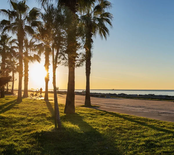 Batumi Dijk Bij Zonsondergang Zonsondergang Aan Zwarte Zee Met Palmbomen — Stockfoto
