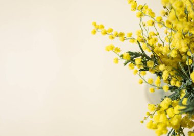 Sarı arkaplanda bir vazo içinde duran bir buket sarı mimoza çiçeği. 8 Mart 'ın konsepti, mutlu kadınlar günü. Metin için üst görünüm ve boşluk.