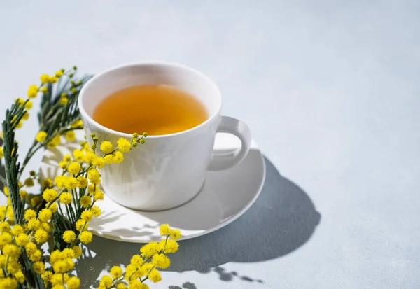 Sarı Mimoza Çiçekli Bahar Buketi Arka Planda Sabah Gölgesi Olan — Stok fotoğraf