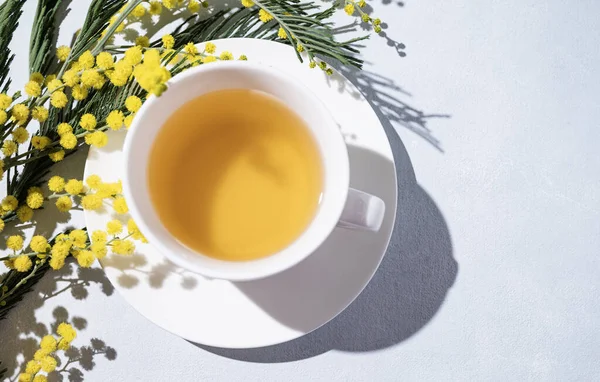 Sarı Mimoza Çiçekli Bahar Buketi Beyaz Arka Planda Sabah Gölgesi — Stok fotoğraf