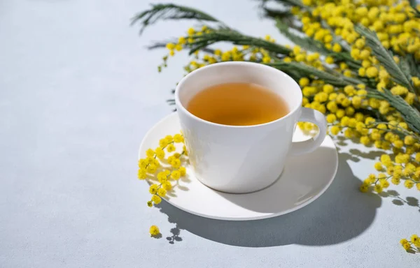 Sarı Mimoza Çiçekli Bahar Buketi Arka Planda Sabah Gölgesi Olan — Stok fotoğraf