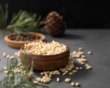 Bir kase içinde çam fıstığı (sedir) ve gri arka planda bir dal çam iğnesiyle soyulmamış bir avuç fındık. Sağlıklı beslenme atıştırması. Metin için boş alan.