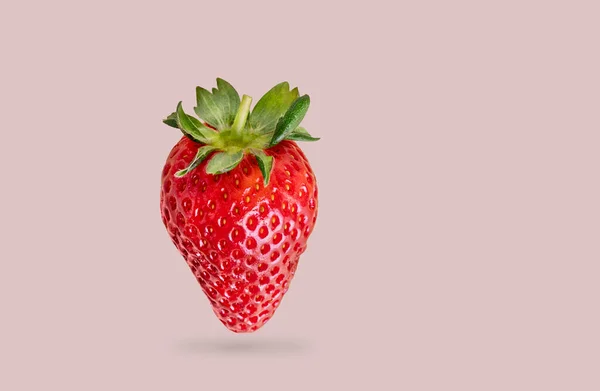 Căpșuni Unice Suculente Fundal Roz Aproape Ferma Coapte Fructe Padure — Fotografie, imagine de stoc