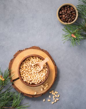 Mavi arka planda bir kasede çam fıstığı ve çam iğnesi dalları. Doğal, organik ve sağlıklı abur cubur kavramı. Üst görünüm ve kopyalama alanı.