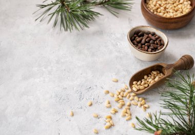 Bir kase dolusu çam fıstığının düz uzanması ve çam iğnelerinden oluşan hafif bir arka planda ahşap kepçe. Doğal, organik ve sağlıklı abur cubur kavramı. Üst görünüm ve kopyalama alanı