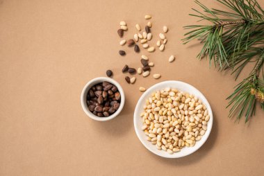 Beyaz bir tabakta çam fıstığı ve çam iğnesi dalları ile sarı bir zemin üzerine serpilmiş. Doğal, organik ve sağlıklı abur cubur kavramı. Üst görünüm ve kopyalama alanı.