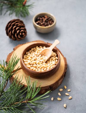 Mavi arka planda bir kasede çam fıstığı ve kozalak dalları. Doğal, organik ve sağlıklı abur cubur kavramı. Boşluğu kopyala.