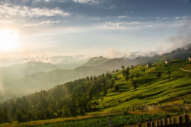 Gün batımında ahşap çitli dağ ve dağ köyü manzarası ve güzel gökyüzü. Gürcistan 'da bir dağ köyünde akşam manzarası. Svaneti, Georgia.