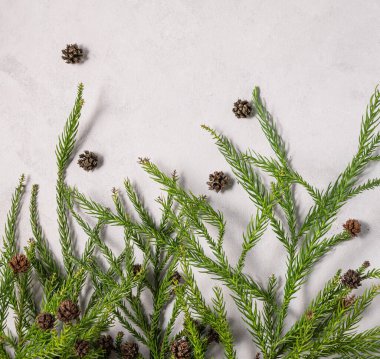 Köknar ağacı dümdüz yatıyordu. Gri desenli arka planda kozalaklı ağaç dalları ve çam kozalakları. Şenlikli yeni yıl konsepti ya da ürün modeli. Üst görünüm ve kopyalama alanı.