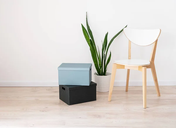 白色的木制椅子 纸板箱和放在米色橡木地板上的罐子里的室内植物 以及装饰房间背景的灰色墙壁 公寓的空间布局是空旷的 免费复制空间 — 图库照片