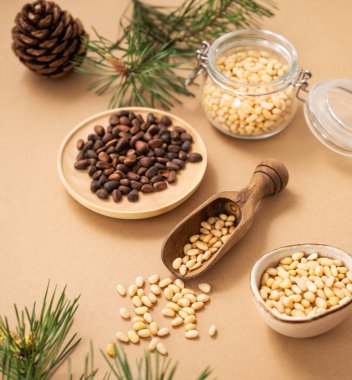 Bir kasede çam fıstığı ve çam iğnesi dallarıyla dolu sarı bir arka planda kepçe. Doğal, organik ve sağlıklı abur cubur konsepti..